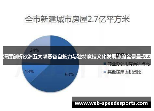 深度剖析欧洲五大联赛各自魅力与独特竞技文化发展脉络全景呈现图